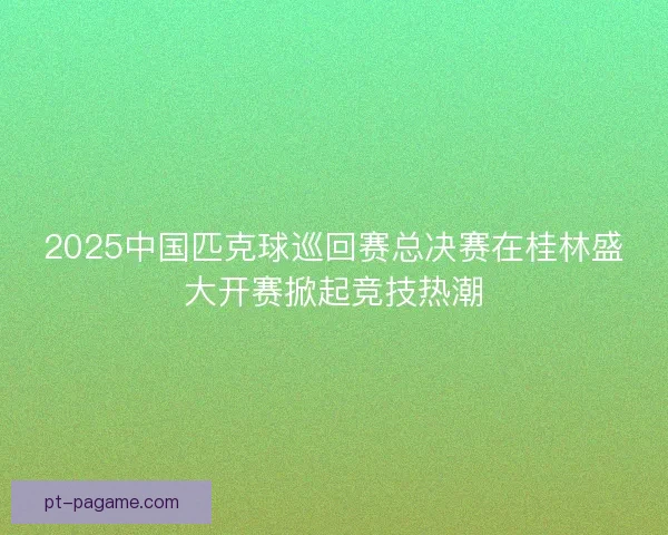 2025中国匹克球巡回赛总决赛在桂林盛大开赛掀起竞技热潮