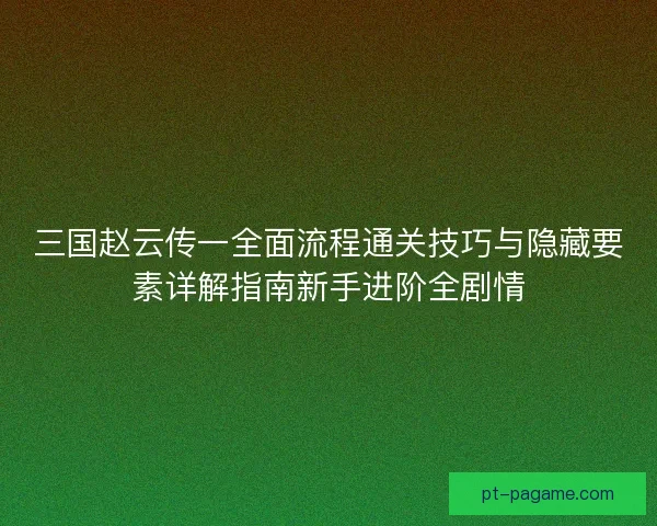 三国赵云传一全面流程通关技巧与隐藏要素详解指南新手进阶全剧情