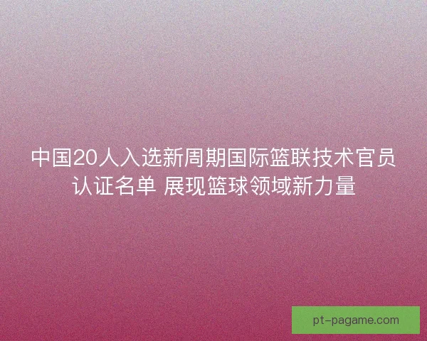 中国20人入选新周期国际篮联技术官员认证名单 展现篮球领域新力量